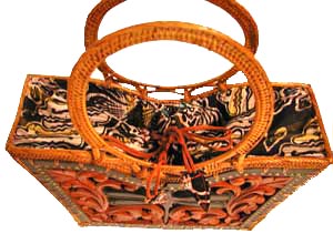 アタバッグ拡大NS20-1