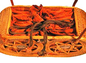 アタバッグ拡大NS22-1