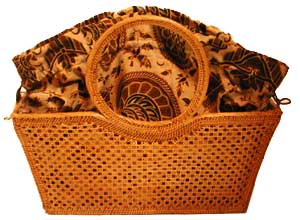 アタバッグ拡大NS31-2